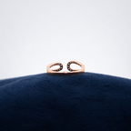 Roselle Double Loop Toe Ring