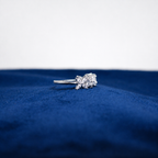 Silver Petal Lumière Ring
