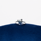 Silver Azure Wings Toe Ring Set