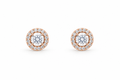Rose Gold Halo Solitaire Earrings