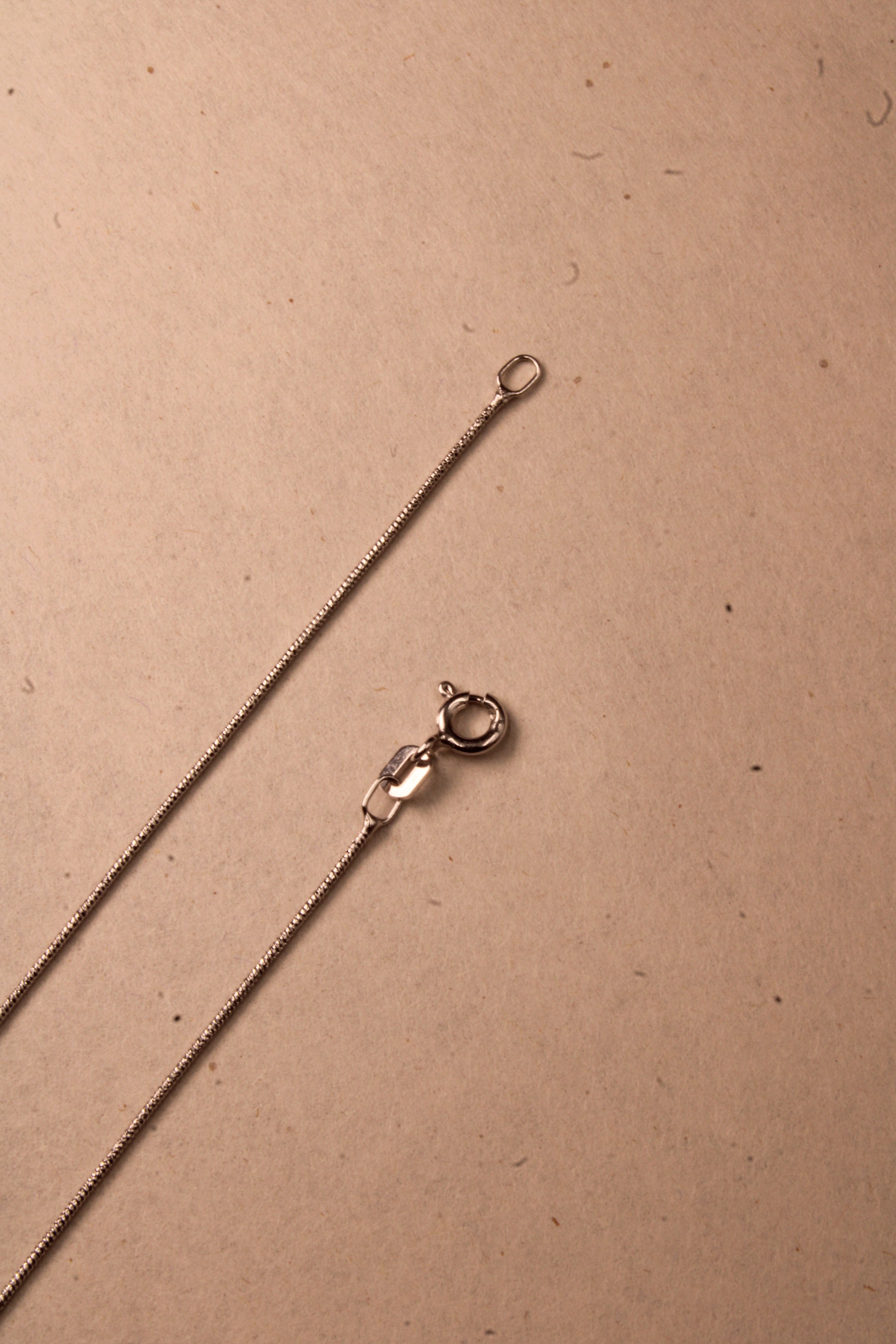 Silver Elara Minimal Chain Anklet
