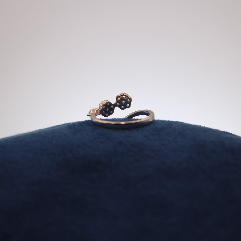 Silver Double Lumière Toe Ring