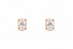 Rosé Solitaire Studs