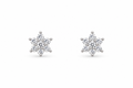 Silver Blossom Cluster Studs