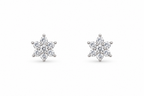Silver Blossom Cluster Studs